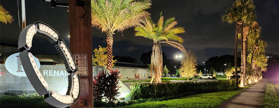 LED tree ring light for palm tree lighting