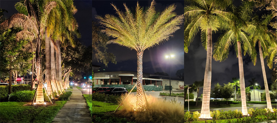 LED palm tree ring light for outdoor palm tree lighting