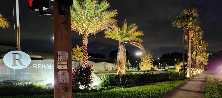 LED palm tree lighting